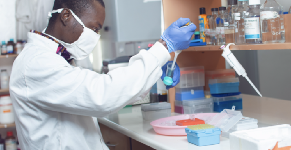 lab